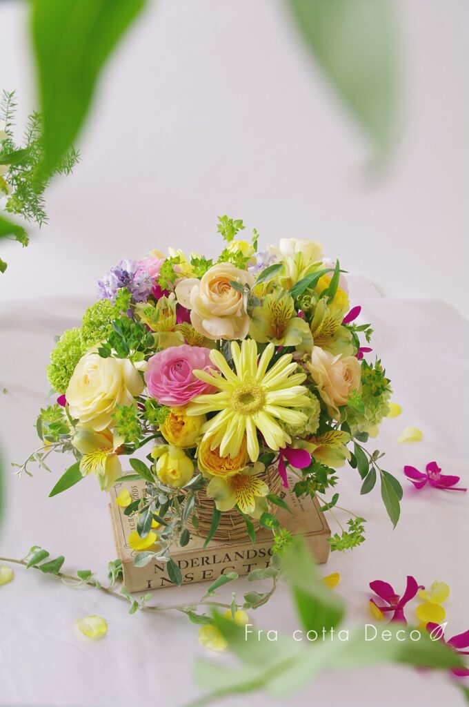 突撃取材！お花の写真、取らせください♪