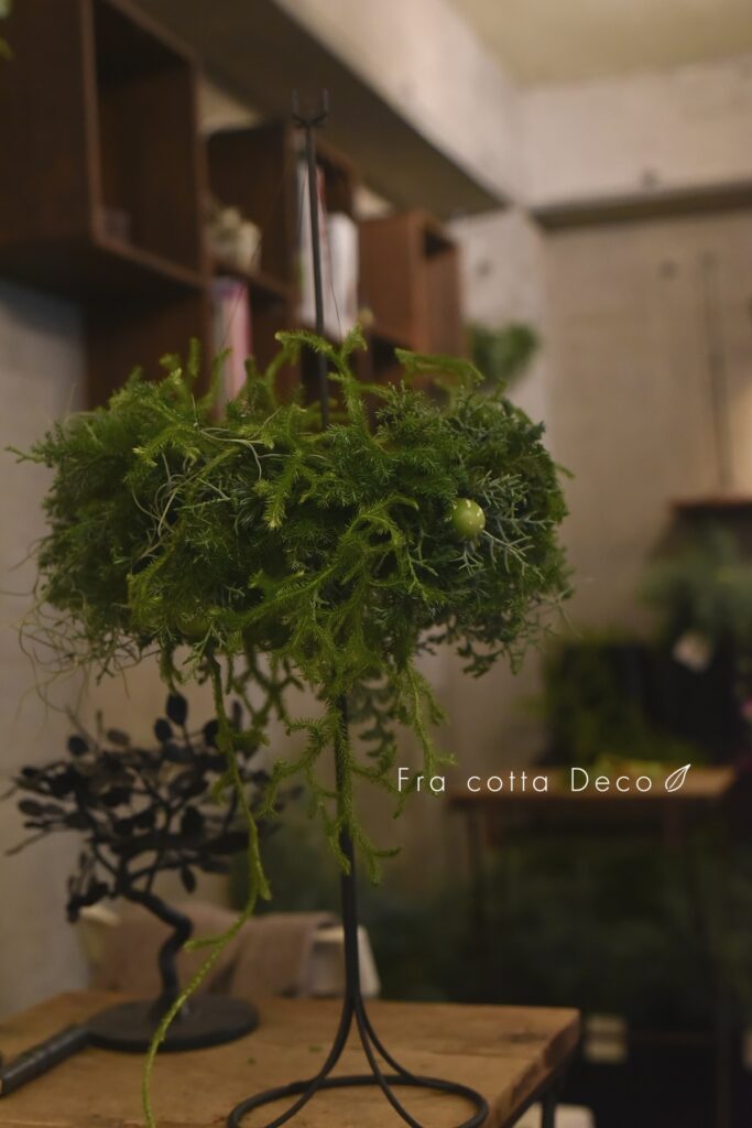 リースレッスン【フライングリース】