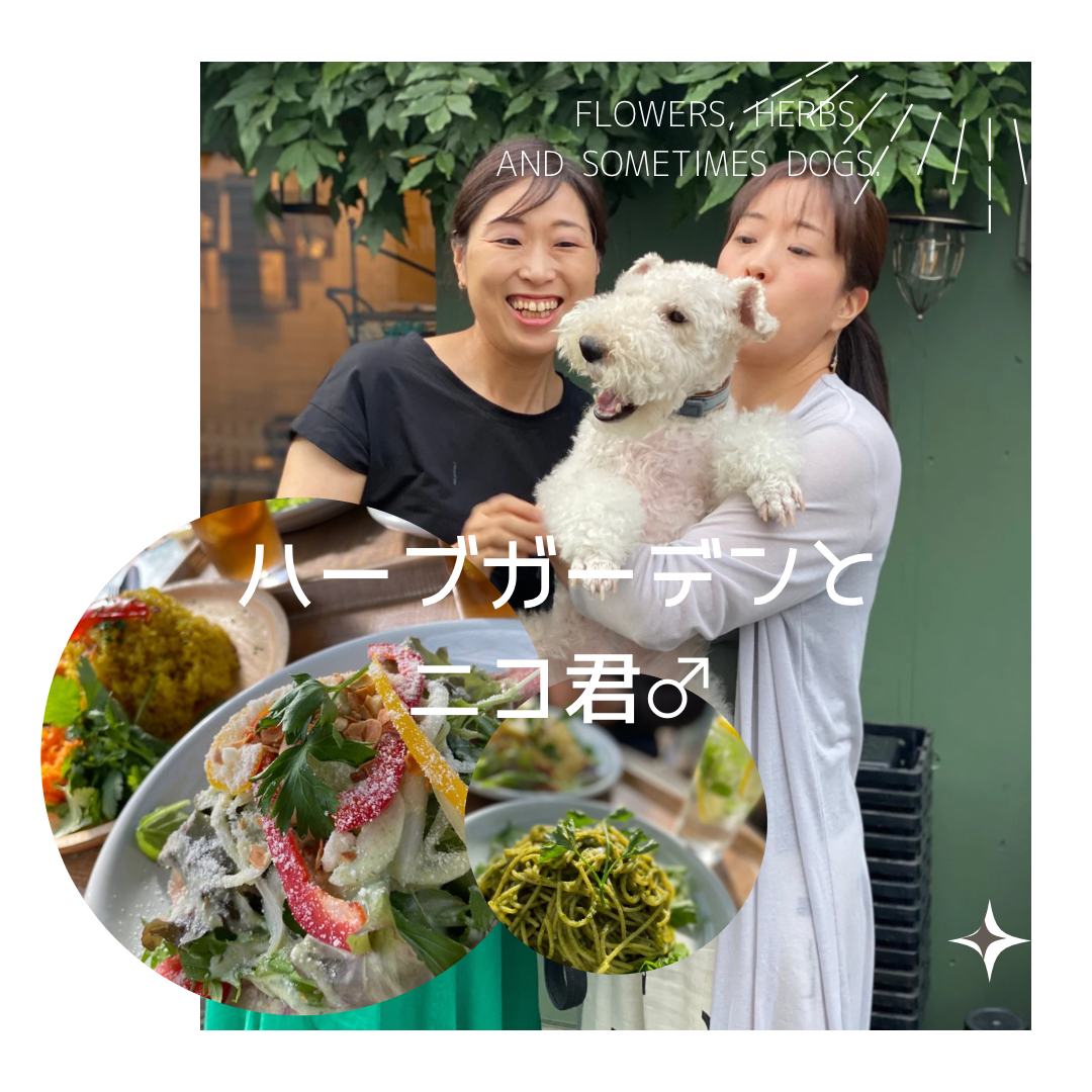 お花好きさんにオススメ！「大多喜ハーブガーデン」