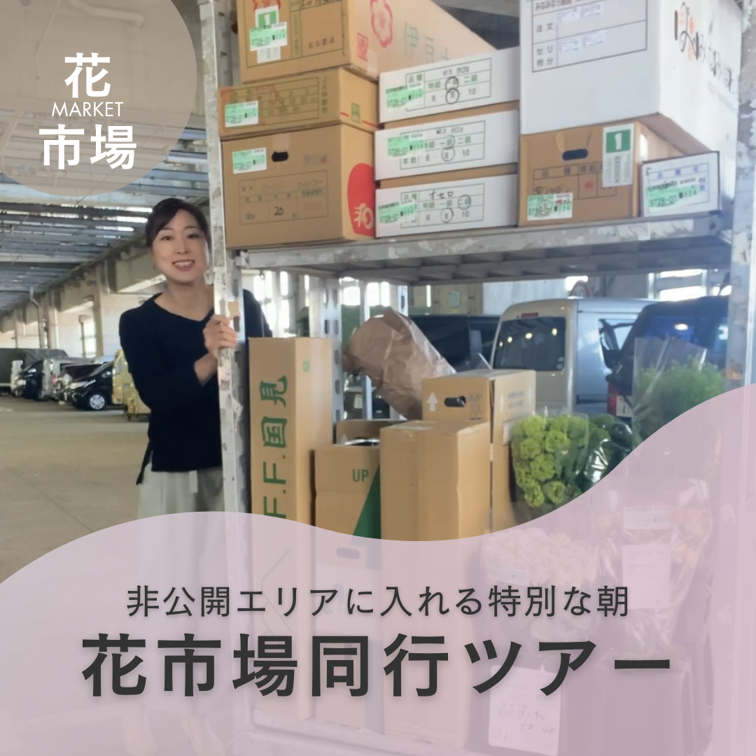 トップページ