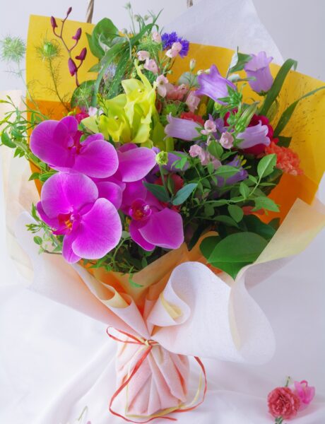 母の日　ギフトコレクション2026