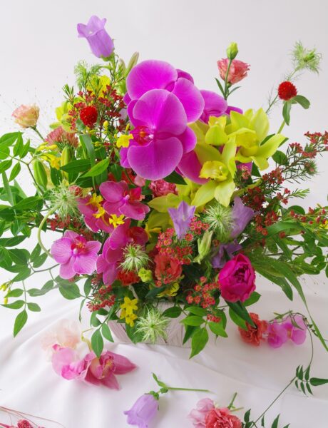 母の日　ギフトコレクション2026