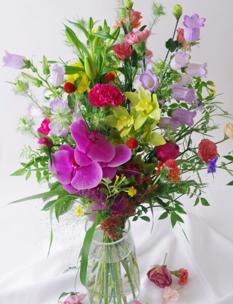 母の日　ギフトコレクション2026